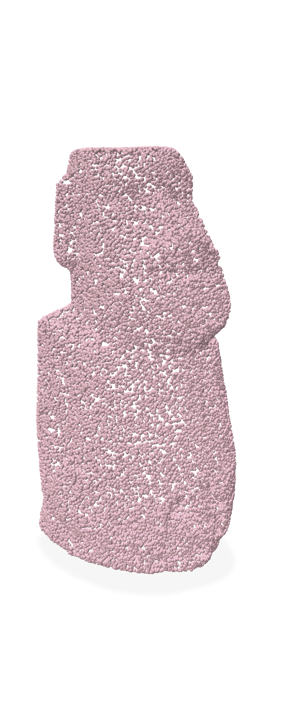 Model 1 input point cloud